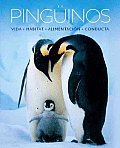 Pinguinos/ Penguins