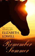 Remember Summer Cover