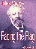 Facing the Flag