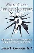 Where Have All Our Values Gone: The Decline of Values in America and What We Can Do about It Cover