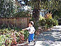 Colin's Adventures - October 2005 Art Album