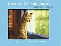 Best Seat in the House: Cats in Their Windows