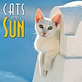 Cats in the Sun 2012 Wall Calendar