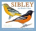 Sibley: The Birder's Year Cover
