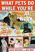 What Pets Do While You're at Work