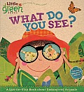 What Do You See?: A Lift-The-Flap Book about Endangered Animals (Little Green Books) Cover