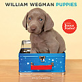 William Wegman Puppies 2013 Wall Calendar