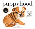 Puppyhood Calendar: Life-Size Portraits of Puppies at 6 Weeks Old [With Poster]