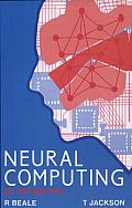 Neural Computing: An Introduction