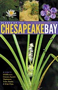 Plants of the Chesapeake Bay: A Guide to Wildflowers, Grasses, Aquatic Vegetation, Trees, Shrubs, and Other Flora Cover