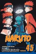 Naruto #45