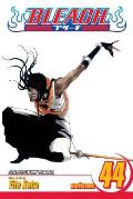Bleach #44: Bleach, Vol. 44 Cover