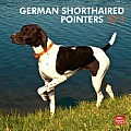 German Shorthaired Pointer, 2013 12x12 Square Wall Calendar