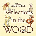 Disney's Winnie the Pooh: Reflections in the Wood
