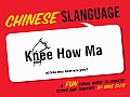 Chinese Slanguage: A Fun Visual Guide to Mandarin Terms and Phrases
