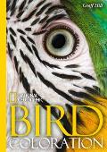 National Geographic Bird Coloration Cover