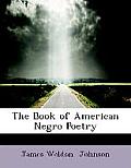 The Book of American Negro Poetry (Large Print Edition) Cover