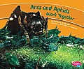 Ants and Aphids Work Together (Animals Working Together)