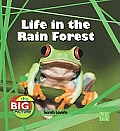 Life in the Rain Forest (Big Picture: Homes) Cover