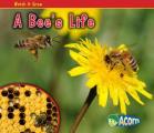 A Bee's Life (Watch It Grow)