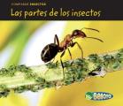Las Partes de Los Insectos (Bug Parts) (Comparar Insectos)