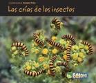 Las Cr-As de Los Insectos (Bug Babies) (Comparar Insectos)