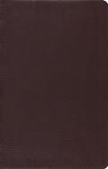 Large Print Thinline Reference Bible-ESV