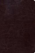 Biblia de Estudio Scofield Tomano Personal-Rvr 1960