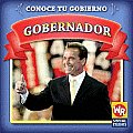Gobernador (Governor) (Conoce Tu Gobierno)