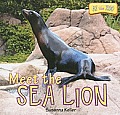 Meet the Sea Lion (At the Zoo)