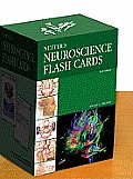 Netter's Neuroscience Flash Cards