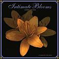Intimate Blooms - Robert Creamer 2013 Wall Calendar