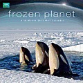 BBC Earth - Frozen Planet 2013 Wall Calendar