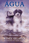 Gua, the Mysterious Portuguese Water Dog