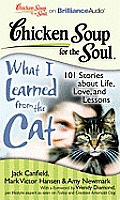 Chicken Soup for the Soul: What I Learned from the Cat: 101 Stories about Life, Love, and Lessons