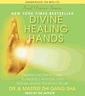 Divine Healing Hands: Experience Divine Power to Heal You, Animals, and Nature, and to Transform All Life