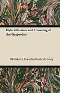 Hybridization and Crossing of the Grapevine