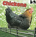 Chickens: Hens, Roosters, and Chicks (On the Farm)