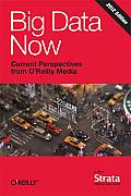 Big Data Now: 2012 Edition Cover