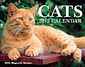 Cats 2013 Mini Day-To-Day Calendar
