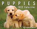 Puppies 2013 Mini Day-To-Day Calendar