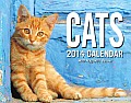 Cats 2014 Mini Day-To-Day Calendar
