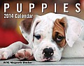 Puppies Calendar