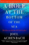 A Hole at the Bottom of the Sea: The Race to Kill the BP Oil Gusher Cover