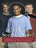 Can You See Me Now?: Developing Men's Ministry in the Local Church through Fellowship, Mission and Evangelism