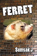 Ferret