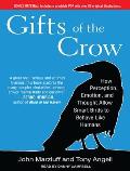 Gifts of the Crow: How Perception, Emotion, and Thought Allow Smart Birds to Behave Like Humans Cover