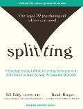Splitting: Protecting Yourself While Divorcing Someone with Borderline or Narcissistic Personality Disorder