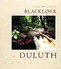 The Duluth Portfolio