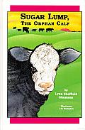Sugar Lump, the Orphan Calf